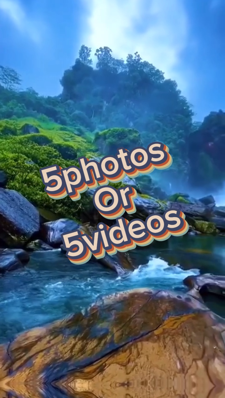 5photos / vidéos