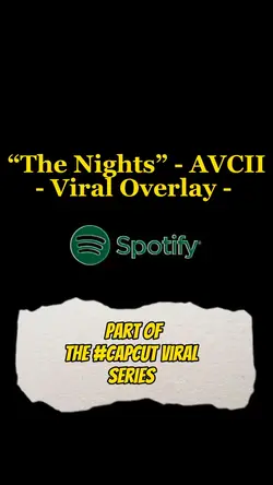 “The Nights” AVCII ✨
