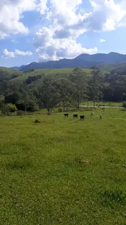 Roça 