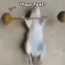 Buff Rat
