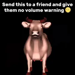Cow Spinning