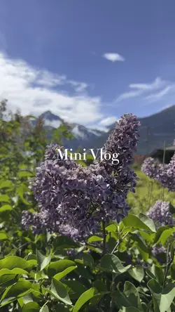 Mini Vlog ✨