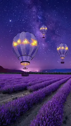 Cool nature edit