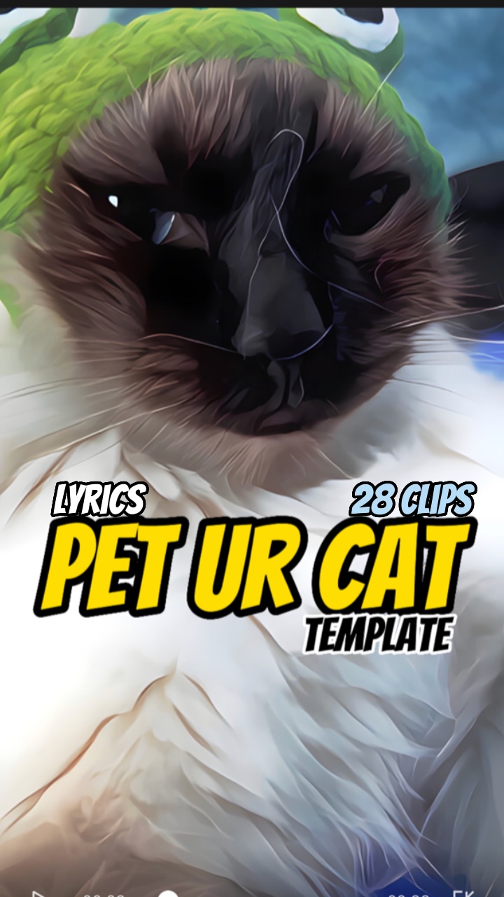 Acaricie seu gato
