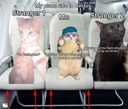 Boston flight ✈️ 