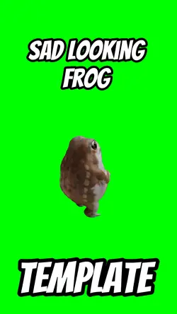 Sad looking frog