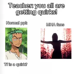 Mha version