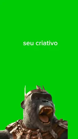 rei macaco