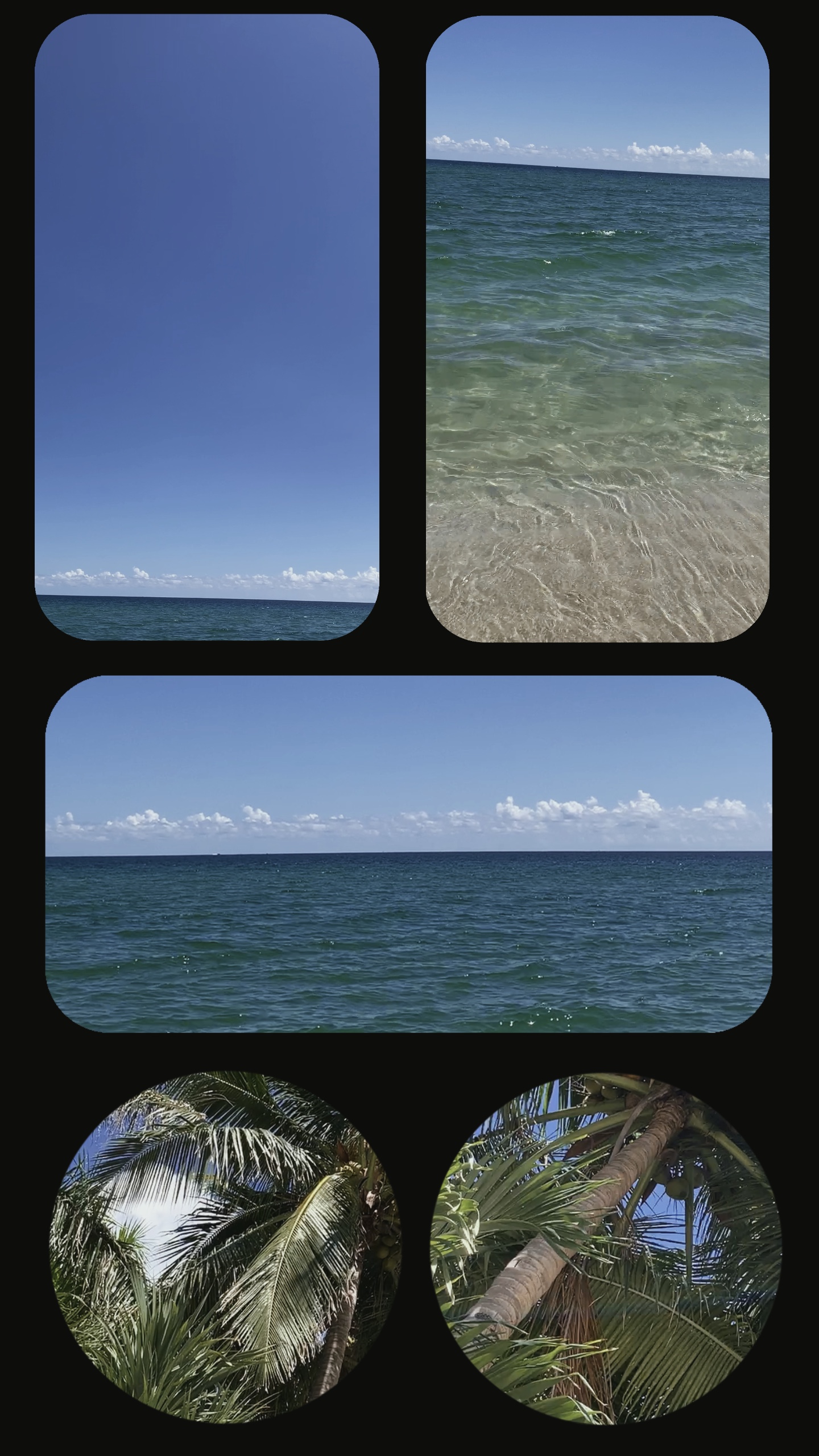 5 Videos Collage