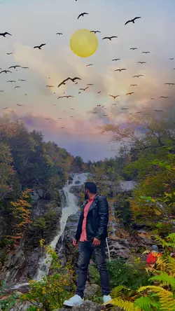 Flying Bird's Effect