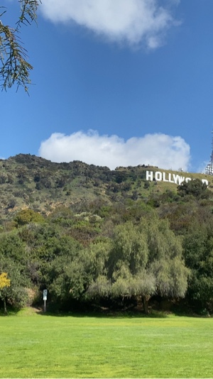 Beautiful view 