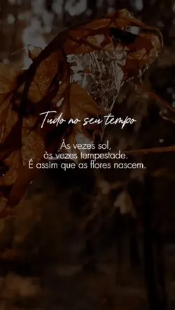 Tudo no seu tempo 