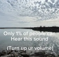 Can u hear it? 
