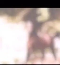 ★∙𝙿𝚊𝚗𝚊𝚖𝚊 𝙼𝚊𝚌 𝚅 ∙★