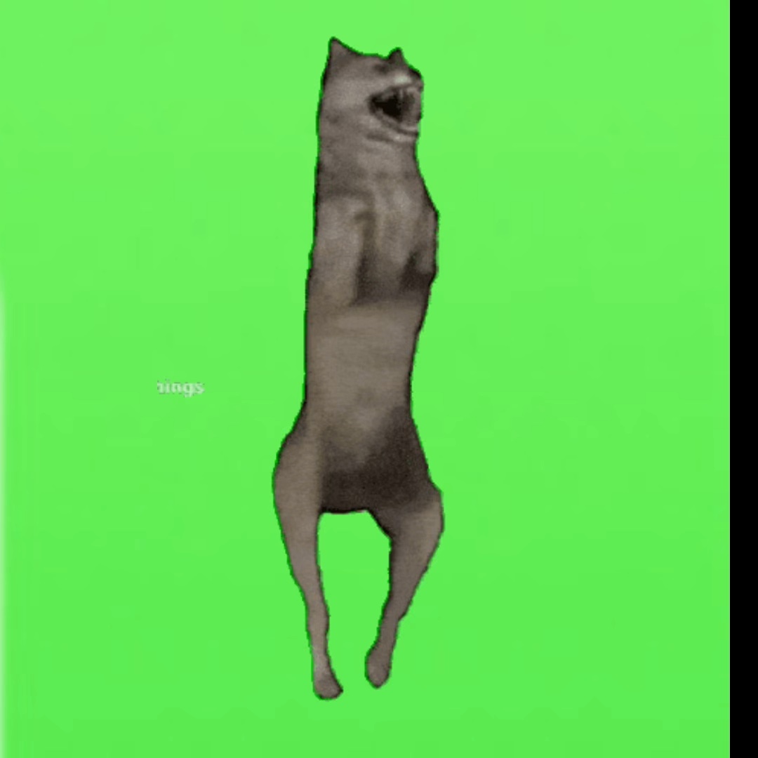 Dancing wolf
