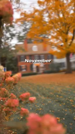 Hallo November 
