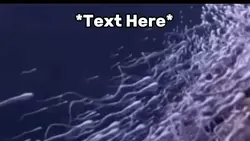 Ocean meme