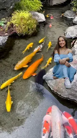 aquário de peixe 