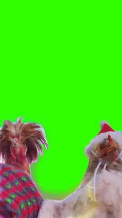 christmas chicken
