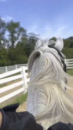 pats for the bestBoy