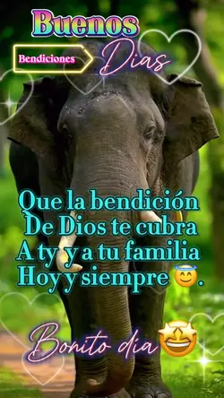 Buenos días😇☀️