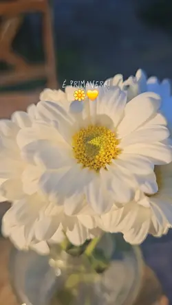 é primavera