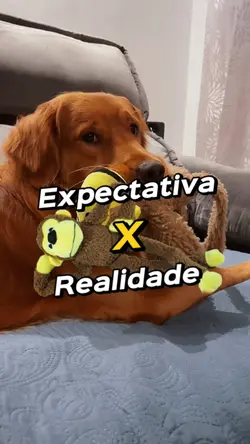 Assim mesmo