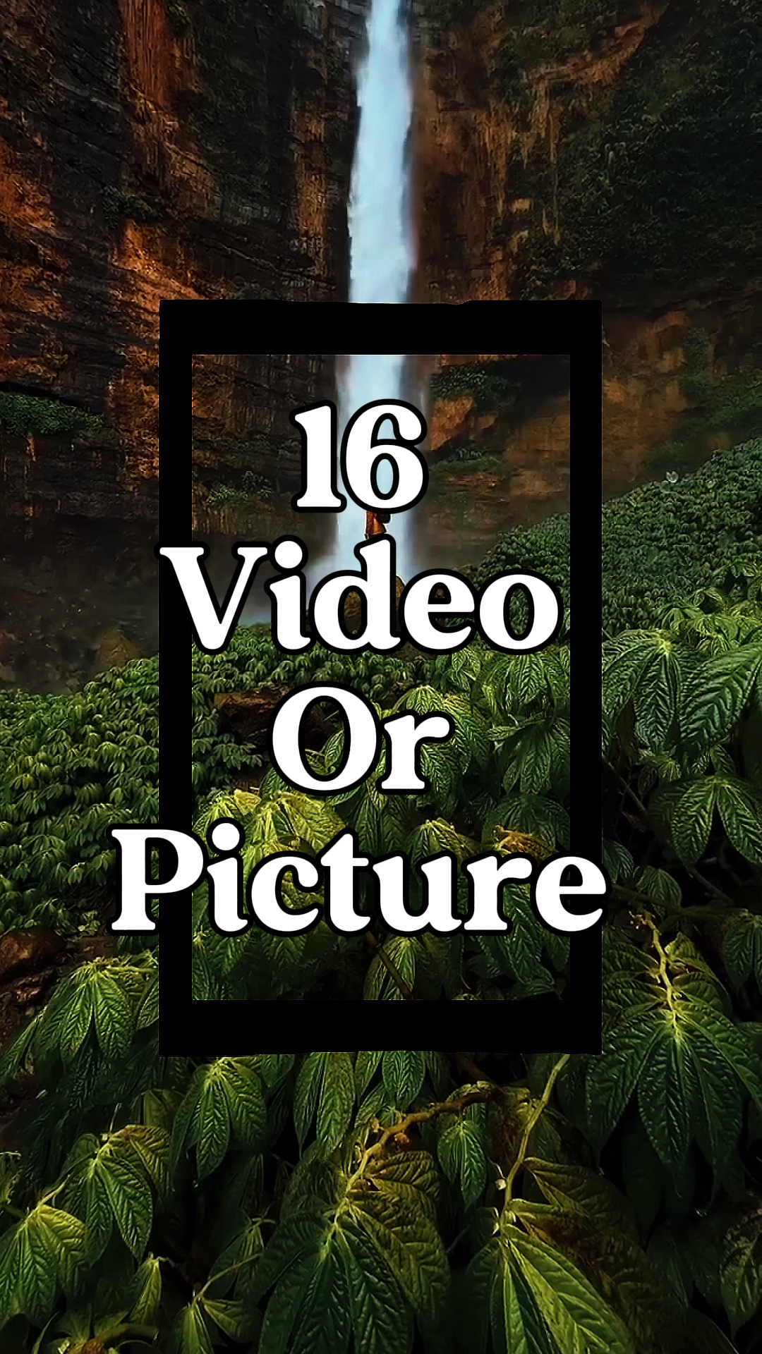 16 vidéo ou photo 