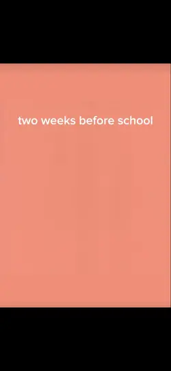 School transition 