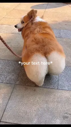 Its booty is so cute