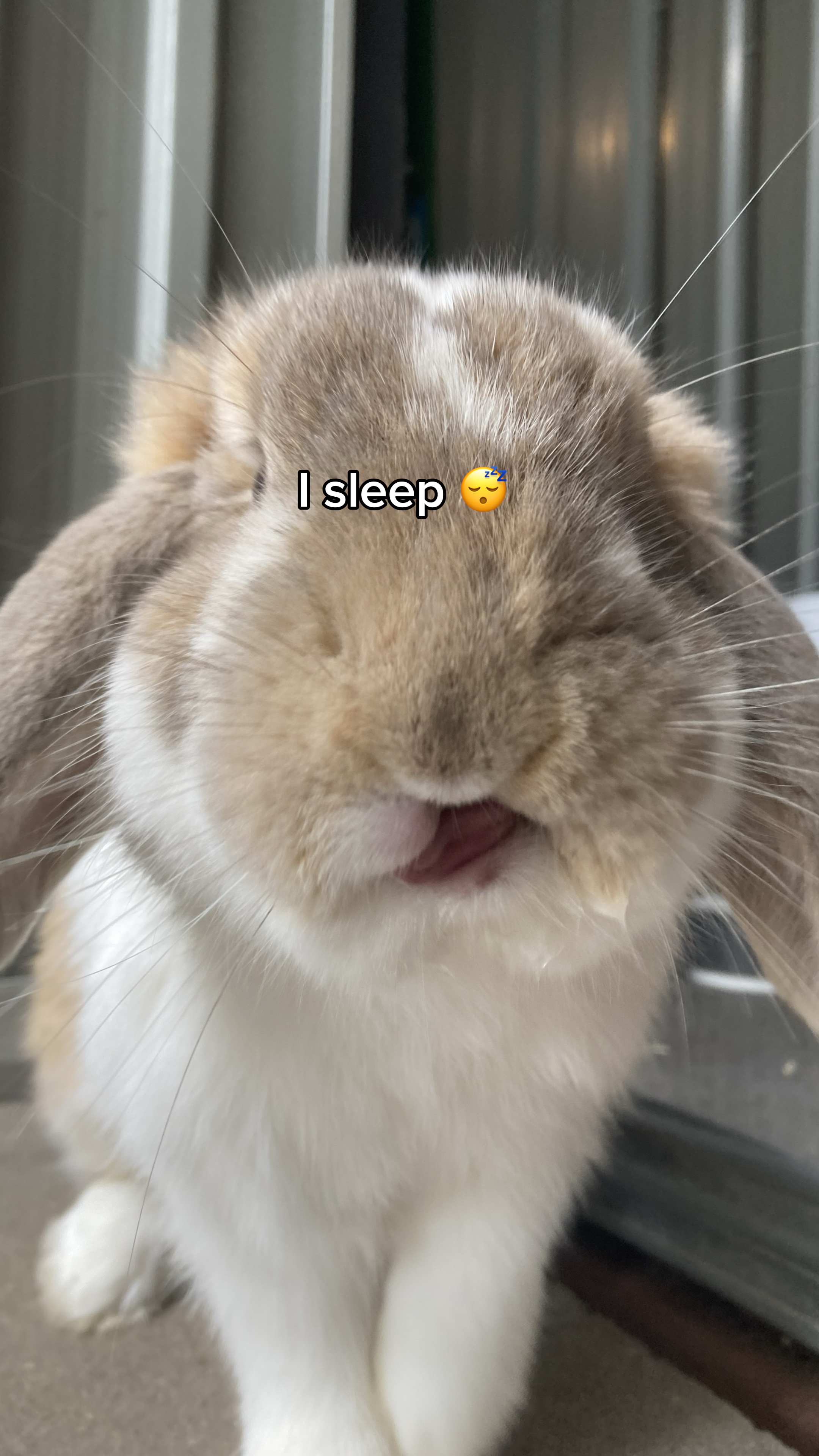 ITS MONDAY 