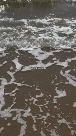 calming moments🦢🪻