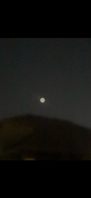 “The sky is so ugly”