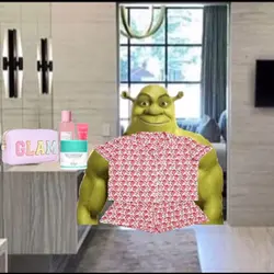 Preppy Shrek 🤪🥰🌈⚡️🛼