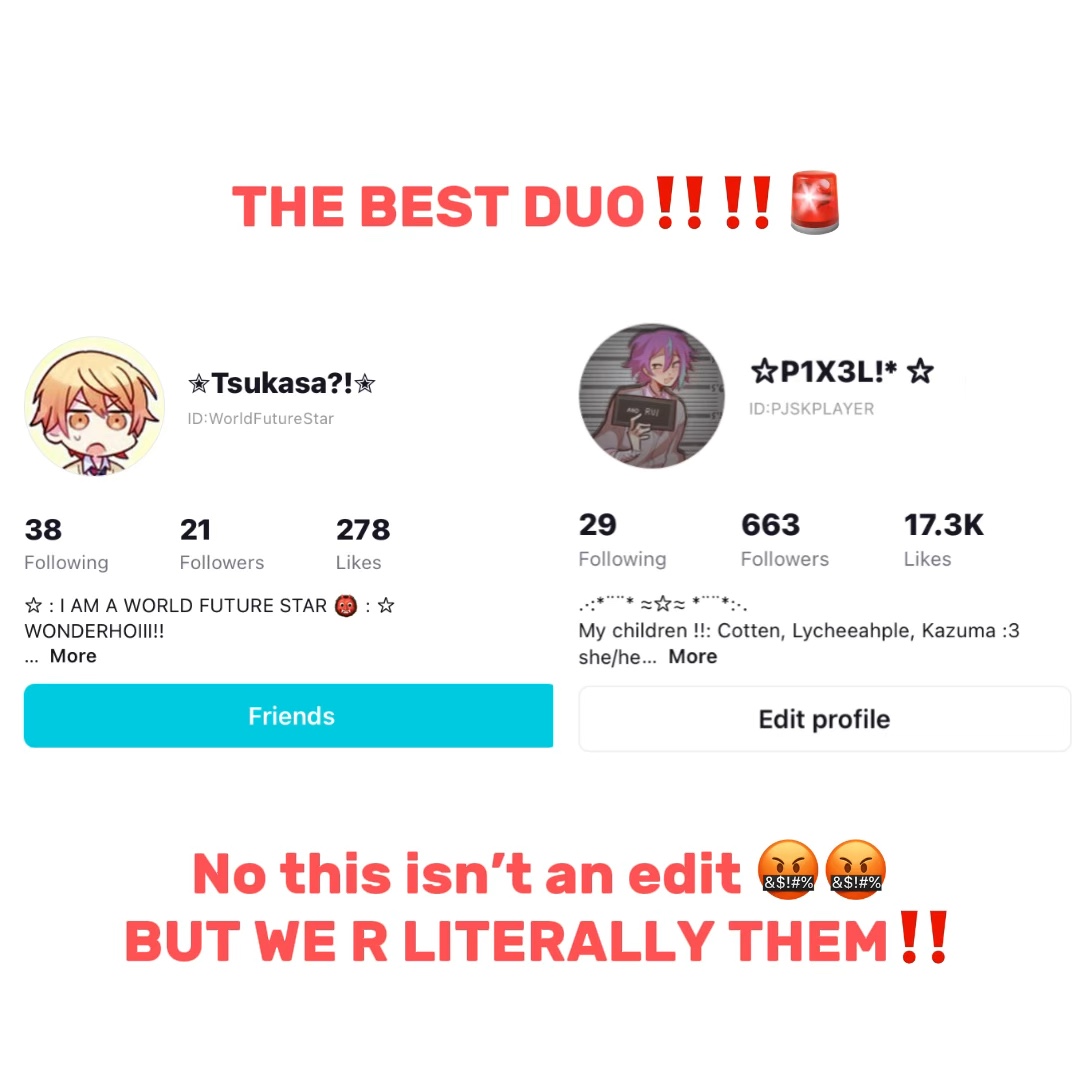 🚨🚨🚨🚨🚨🚨🚨🚨🚨🚨🚨🚨🚨🦔🚨🚨🚨🚨🚨🚨
