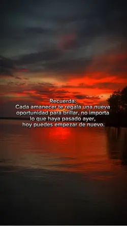 Frases de reflexión 