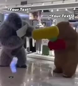 Fighting meme
