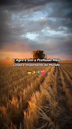 profissão importante