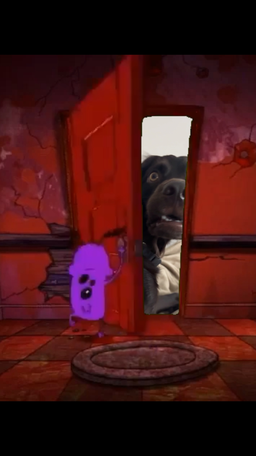 Sorpresa en la puerta
