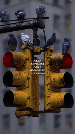 Verdades 🫀