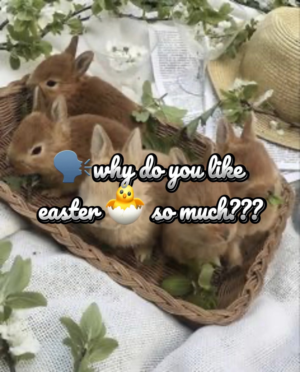 Páscoa 🐣 