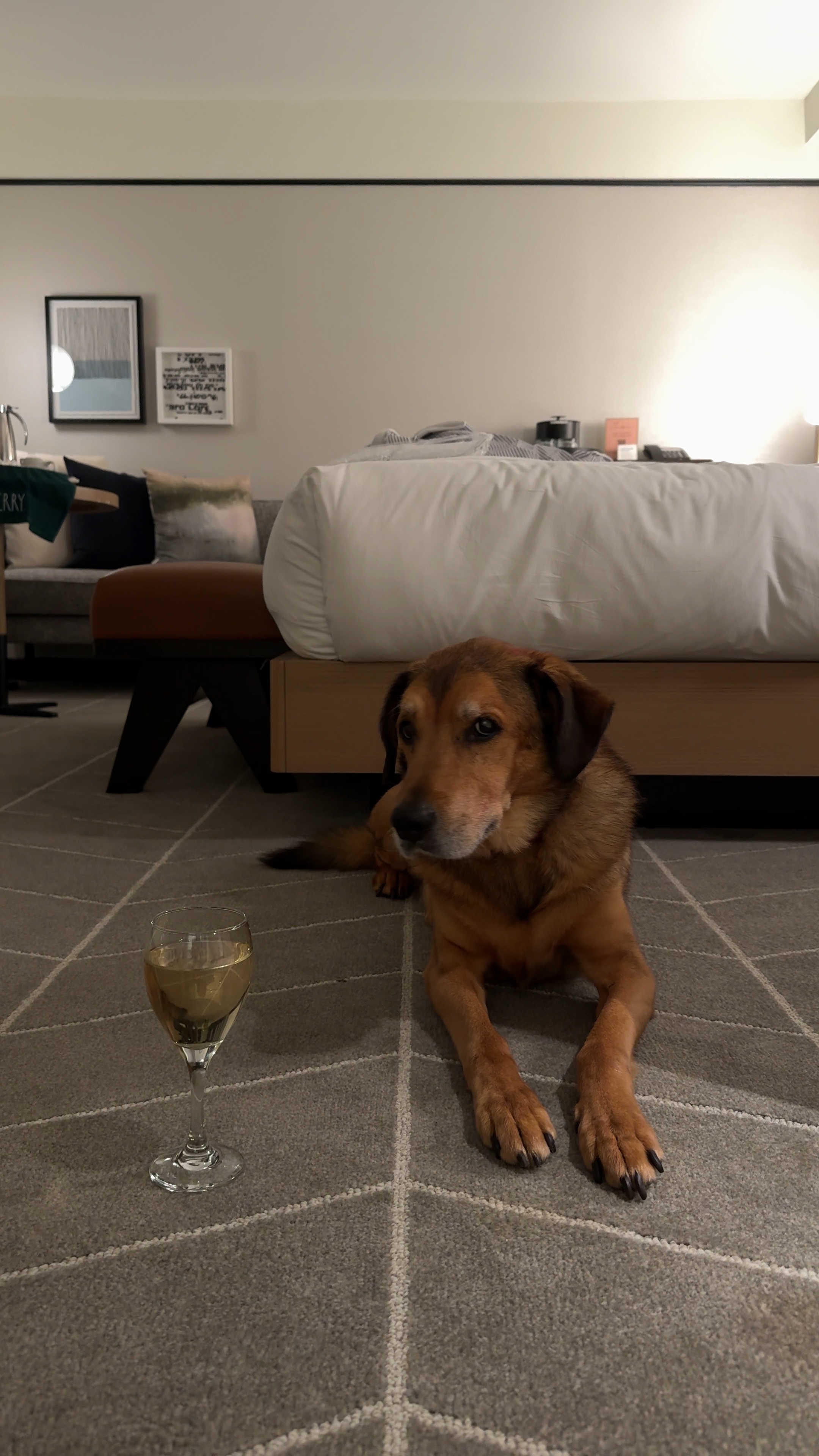 Hotel Vlog
