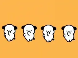 Quad/Four Dancing 💃 