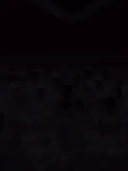 Lisa..