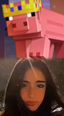 technoblade never- 😟