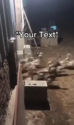 Duck Rampage