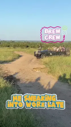 SNEAK