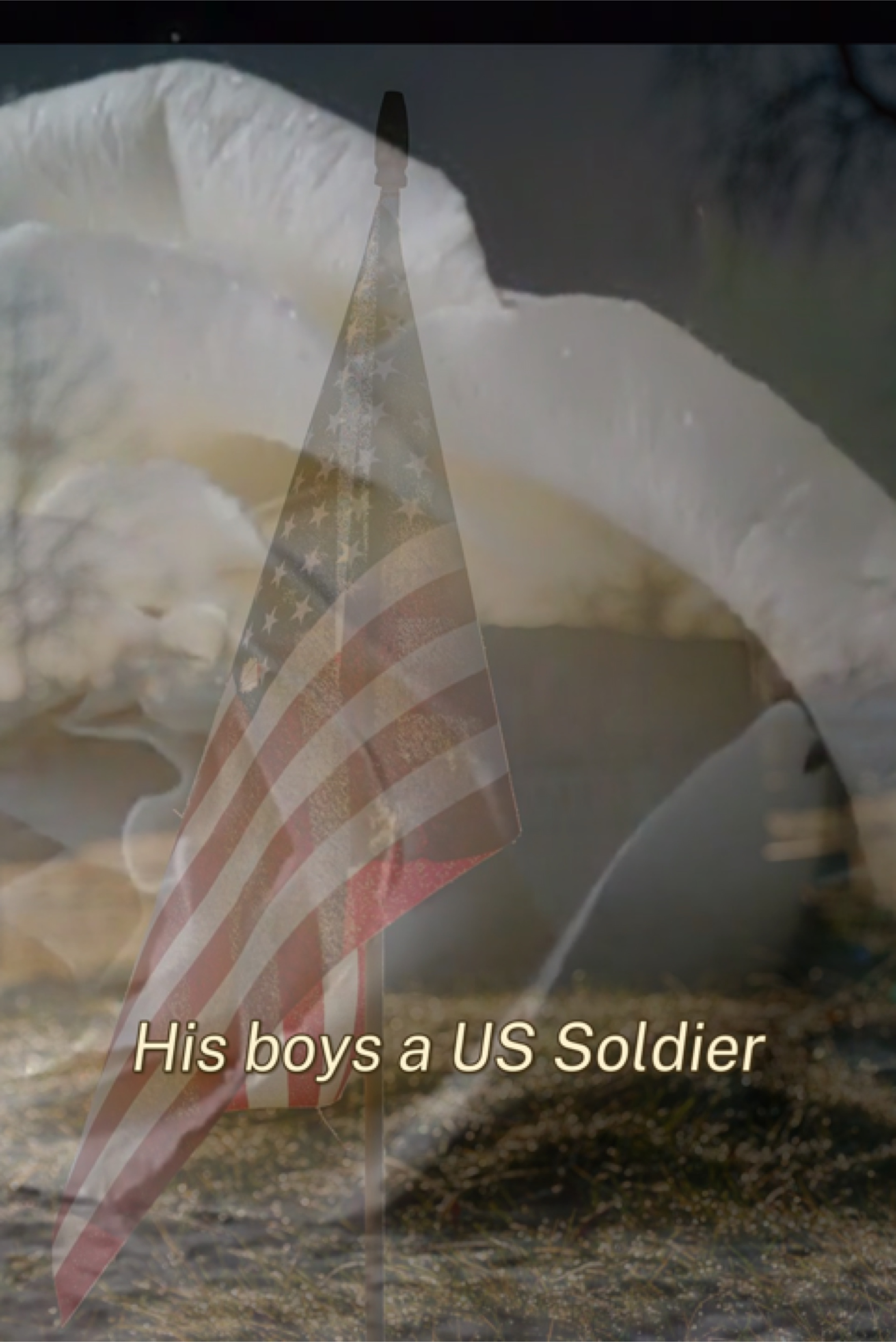 Soldado estadounidense 