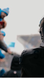 FREE LIONS CLIPS