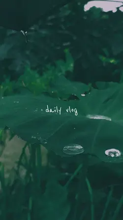 daily vlog ✨🍃 8 clip